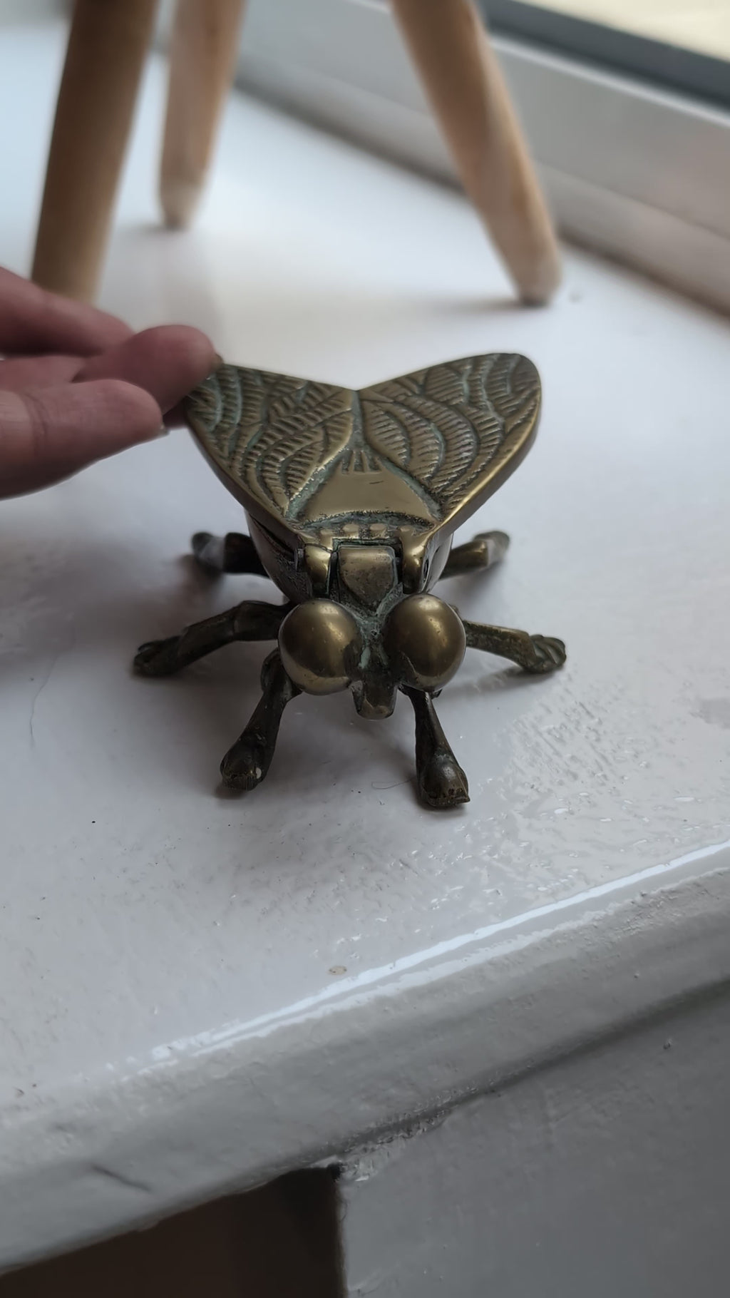 Vintage Brass Fly Vesta Case